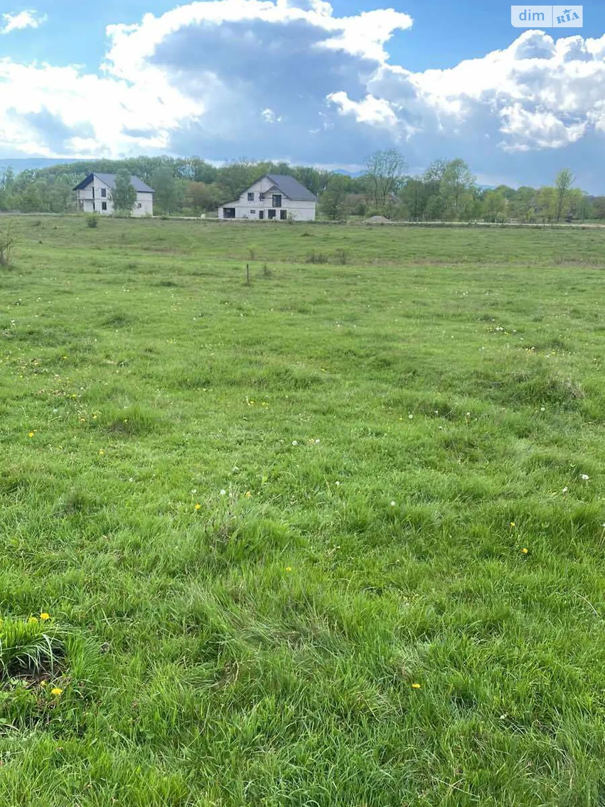Продается земельный участок 0.812 соток в Закарпатской области - фото 4