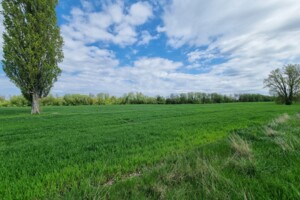 Продаж землі сільськогосподарського призначення, Вінницька, Олександрівка (Вінниця)