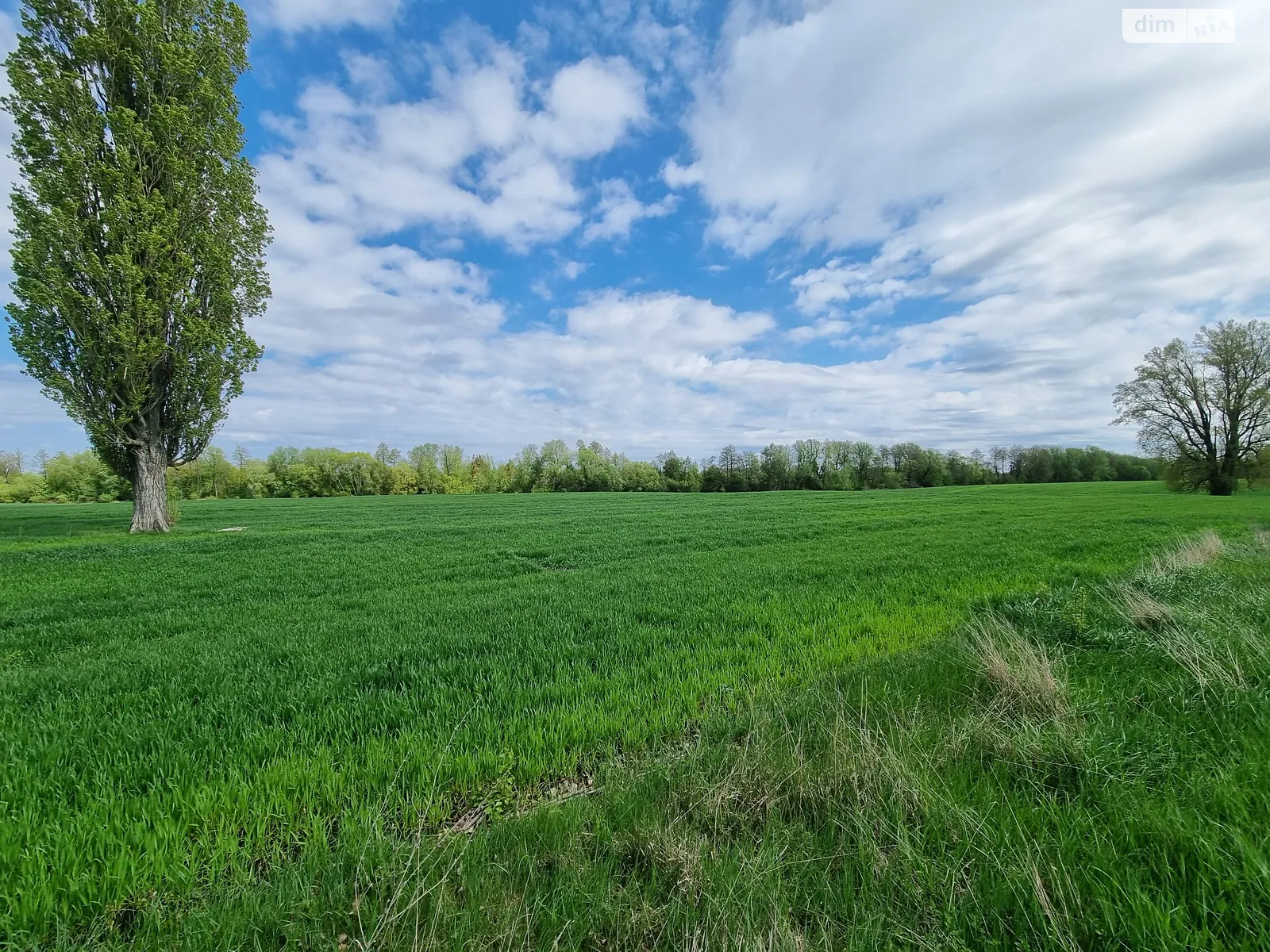 Продается земельный участок 12 соток в Винницкой области, цена: 200000 $