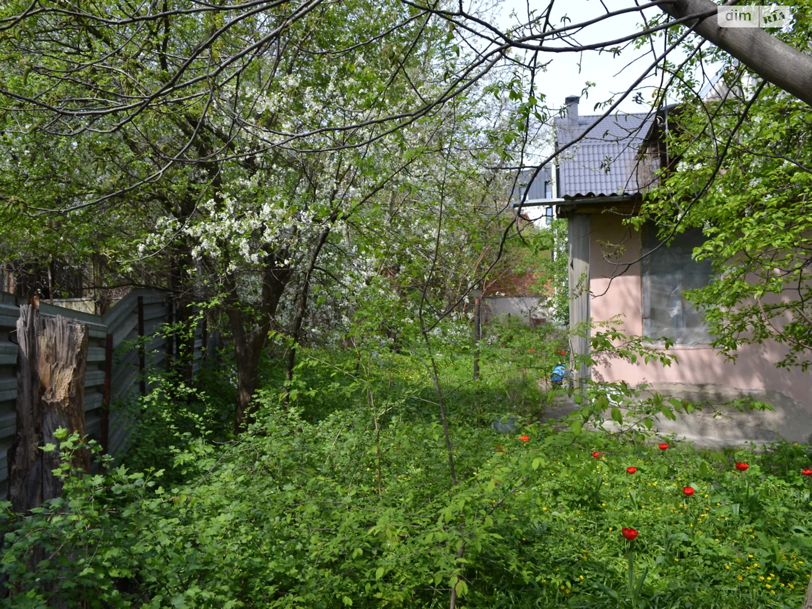 Продается земельный участок 6.68 соток в Киевской области - фото 3