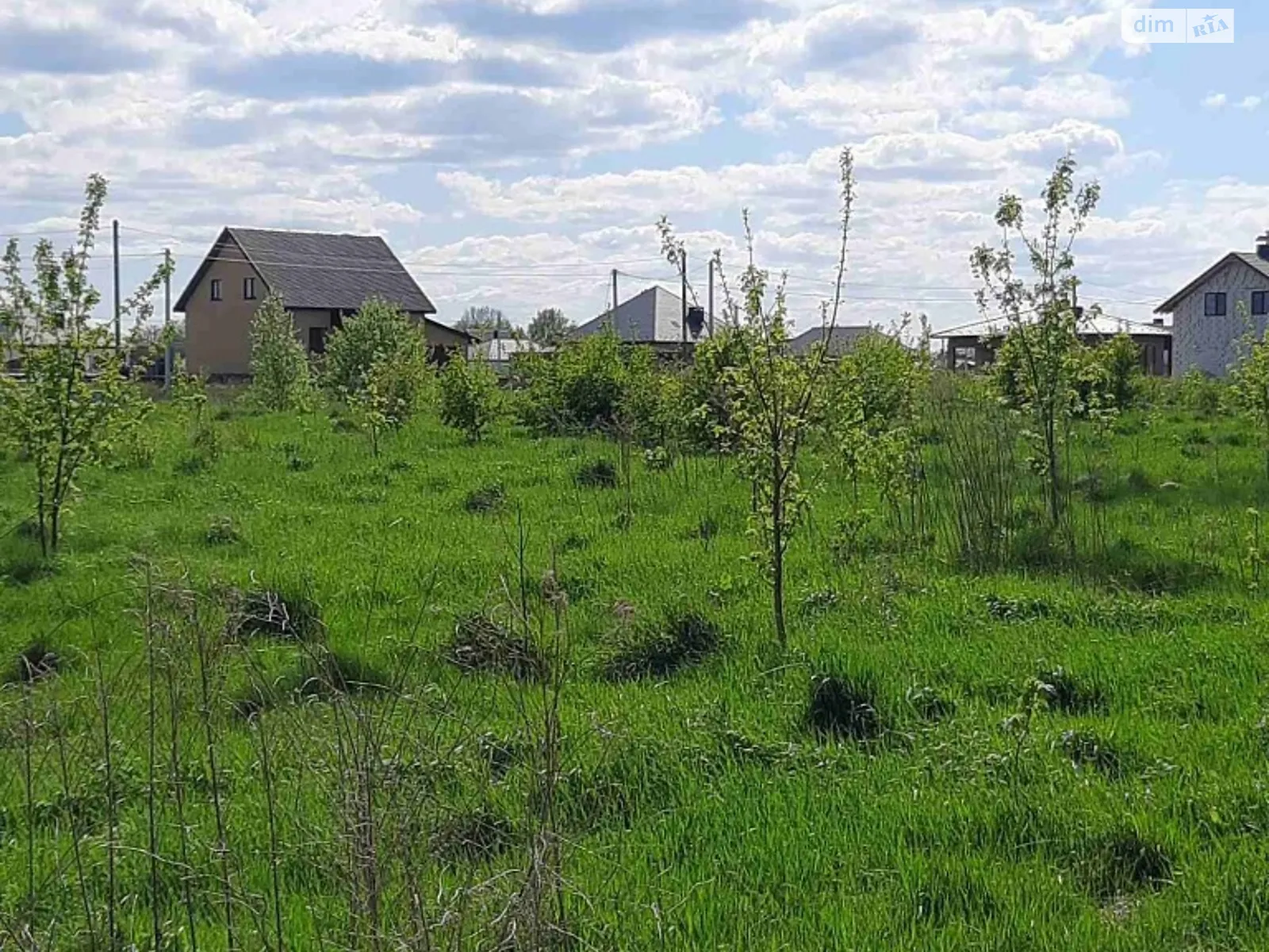 Продается земельный участок 12.14 соток в Волынской области - фото 2