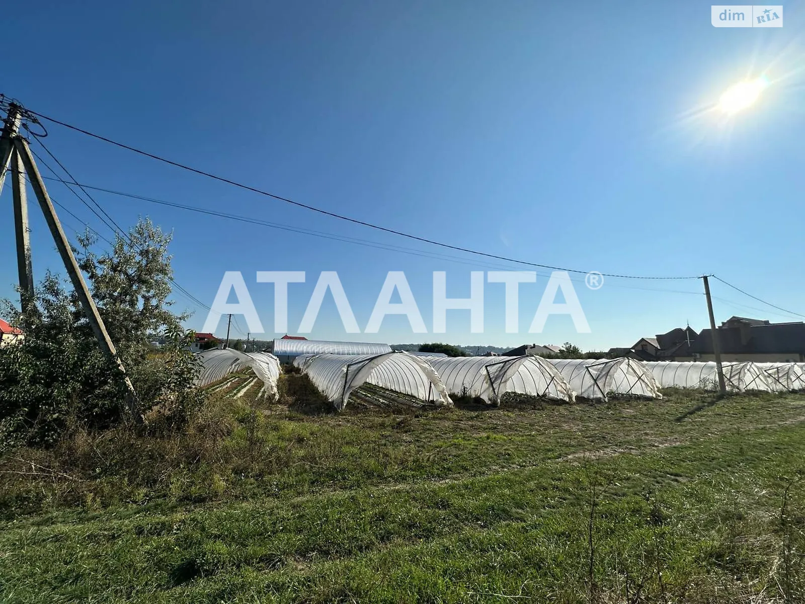 Продается земельный участок 18 соток в Черновицкой области - фото 2