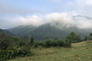 Земельные участки в Городенке без посредников