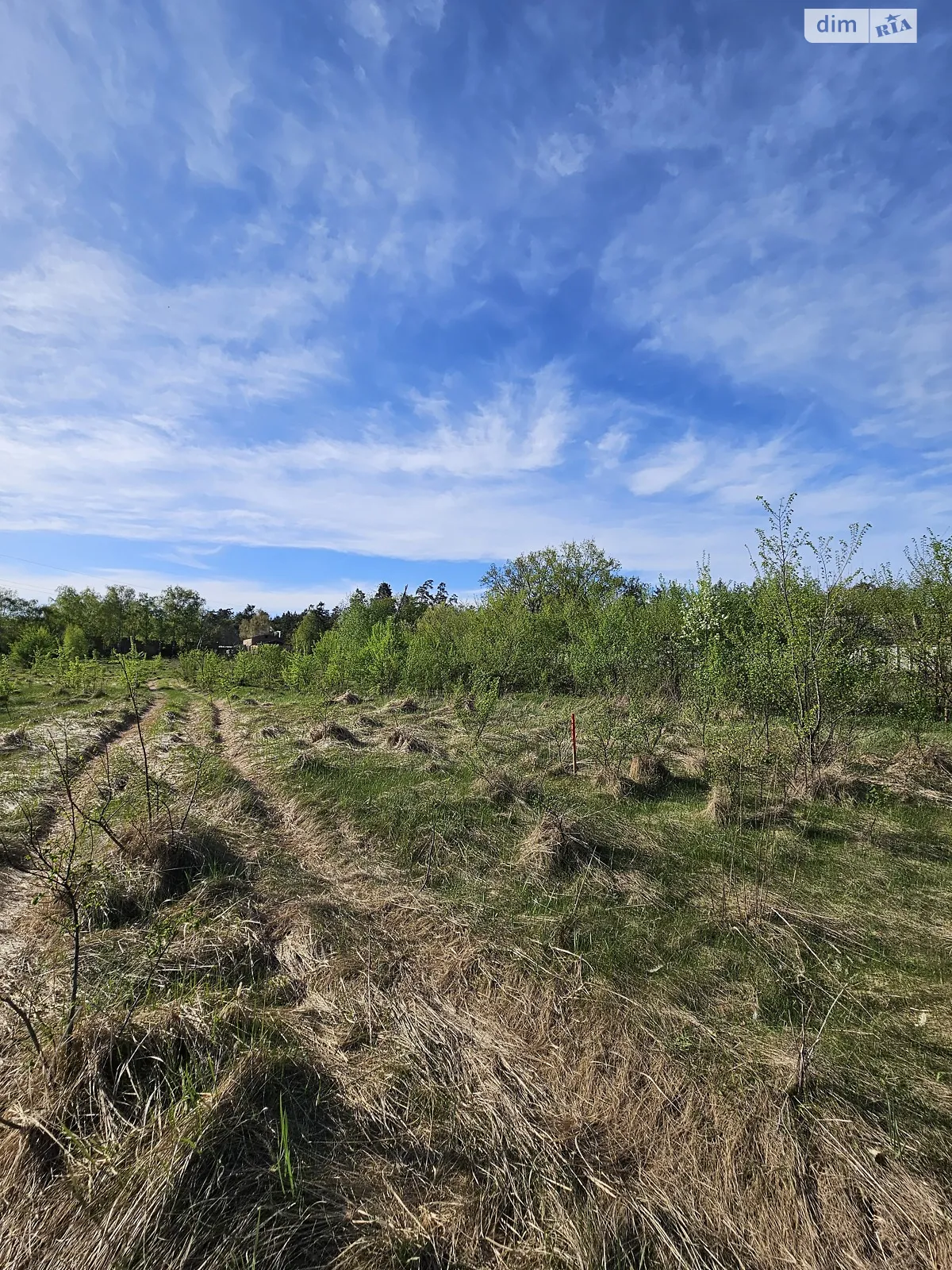 Продается земельный участок 10 соток в Черкасской области - фото 2