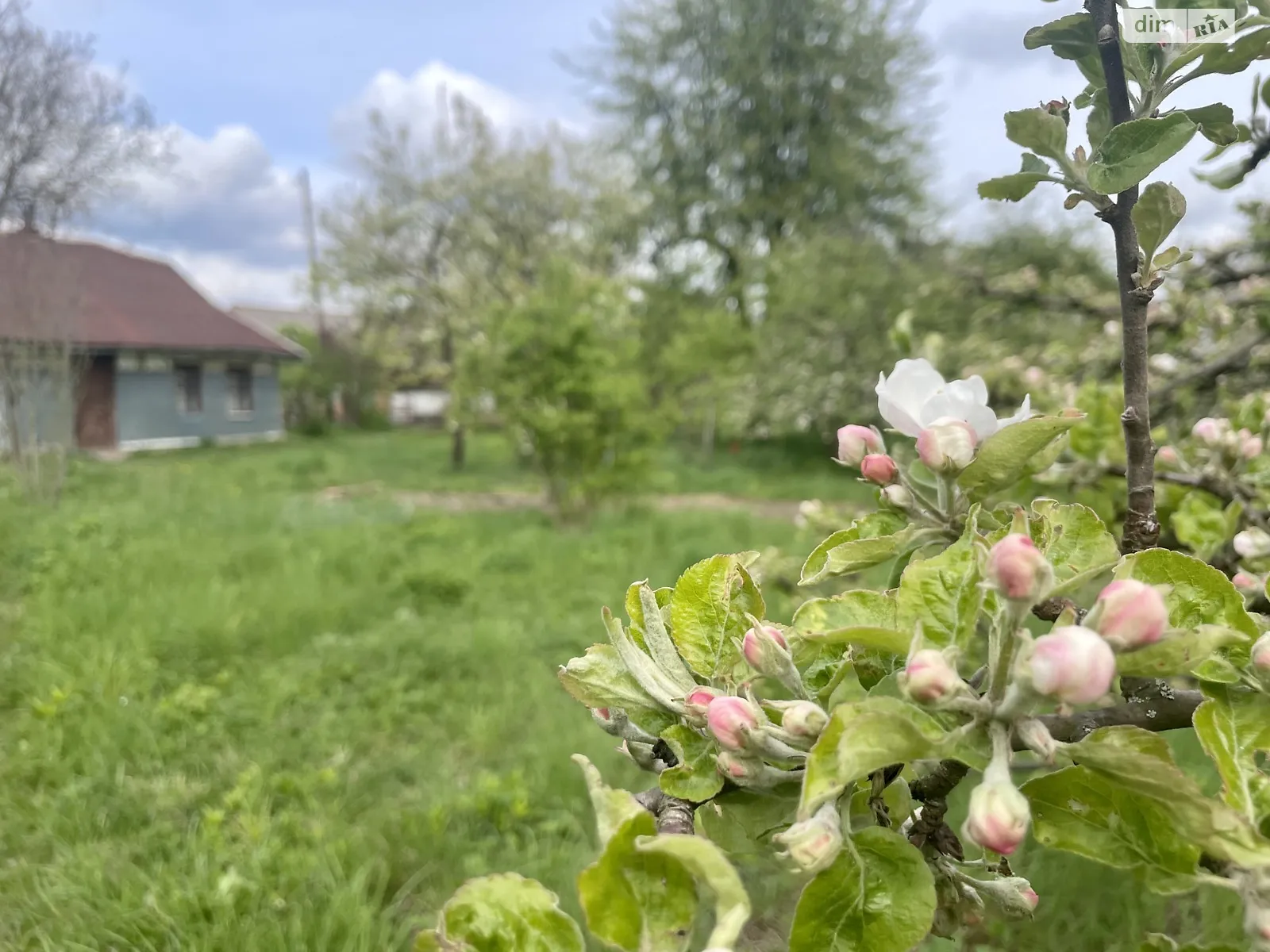 Продається земельна ділянка 30 соток у Вінницькій області, цена: 14000 $