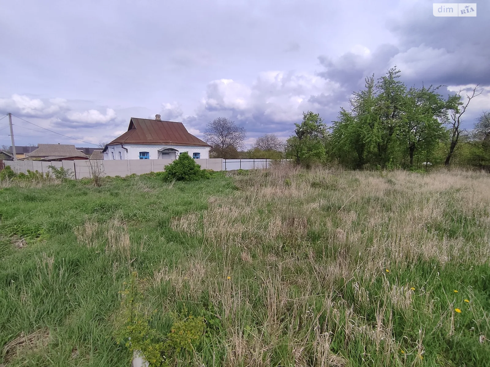Продается земельный участок 31.61 соток в Винницкой области - фото 4