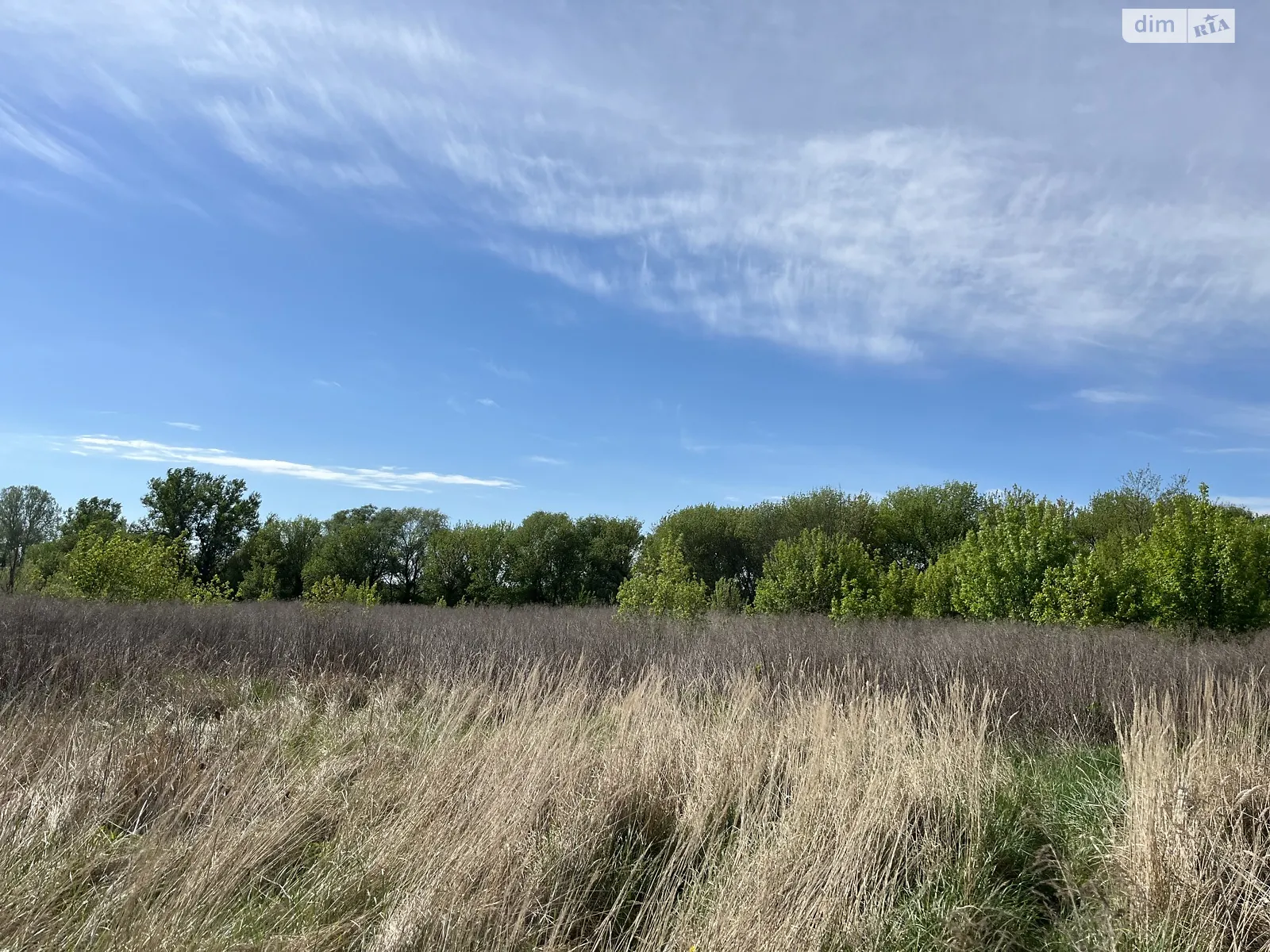 ул. Днепровская(Днепропетровская) Новоалександровка (Днепр), цена: 50000 $ - фото 1