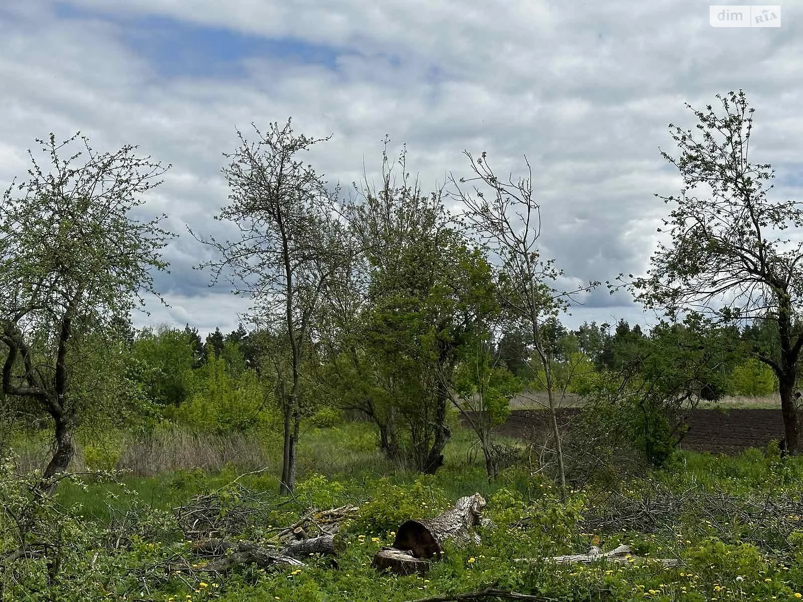 Продается земельный участок 32 соток в Винницкой области - фото 2