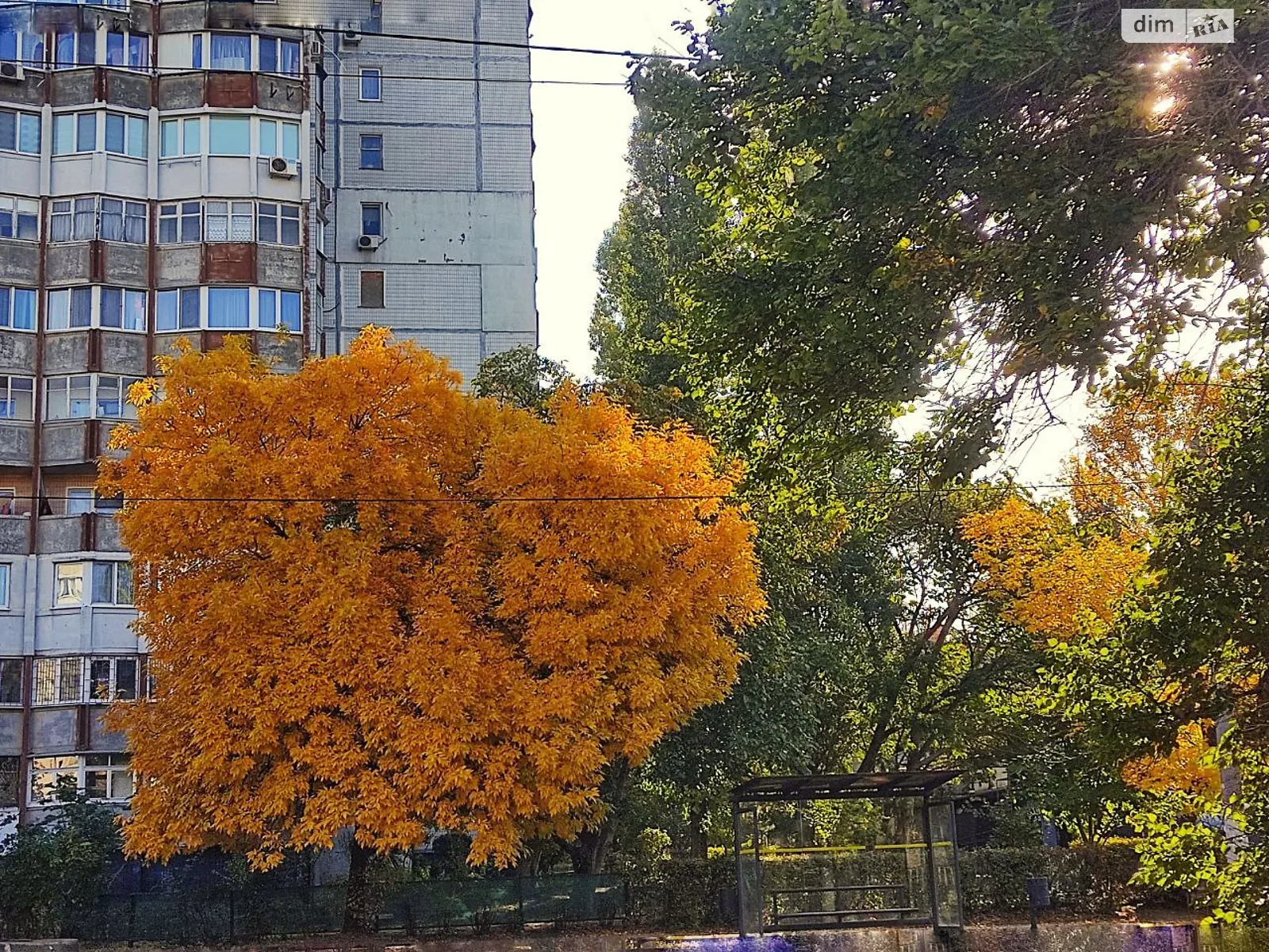 вул. Володимира Висоцького, 9   