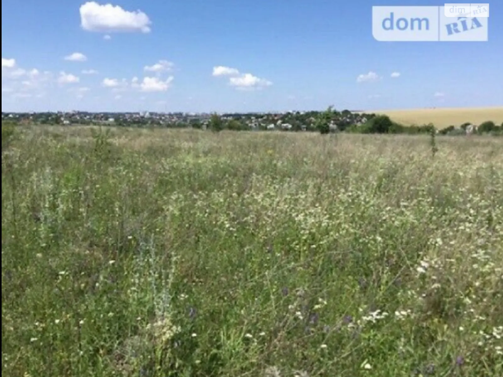 Продается земельный участок 20 соток в Хмельницкой области, цена: 18000 $ - фото 1