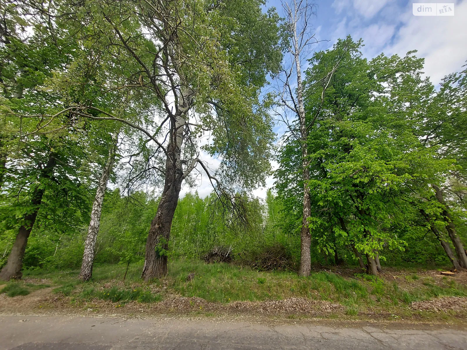 Продается земельный участок 21.5 соток в Винницкой области - фото 2