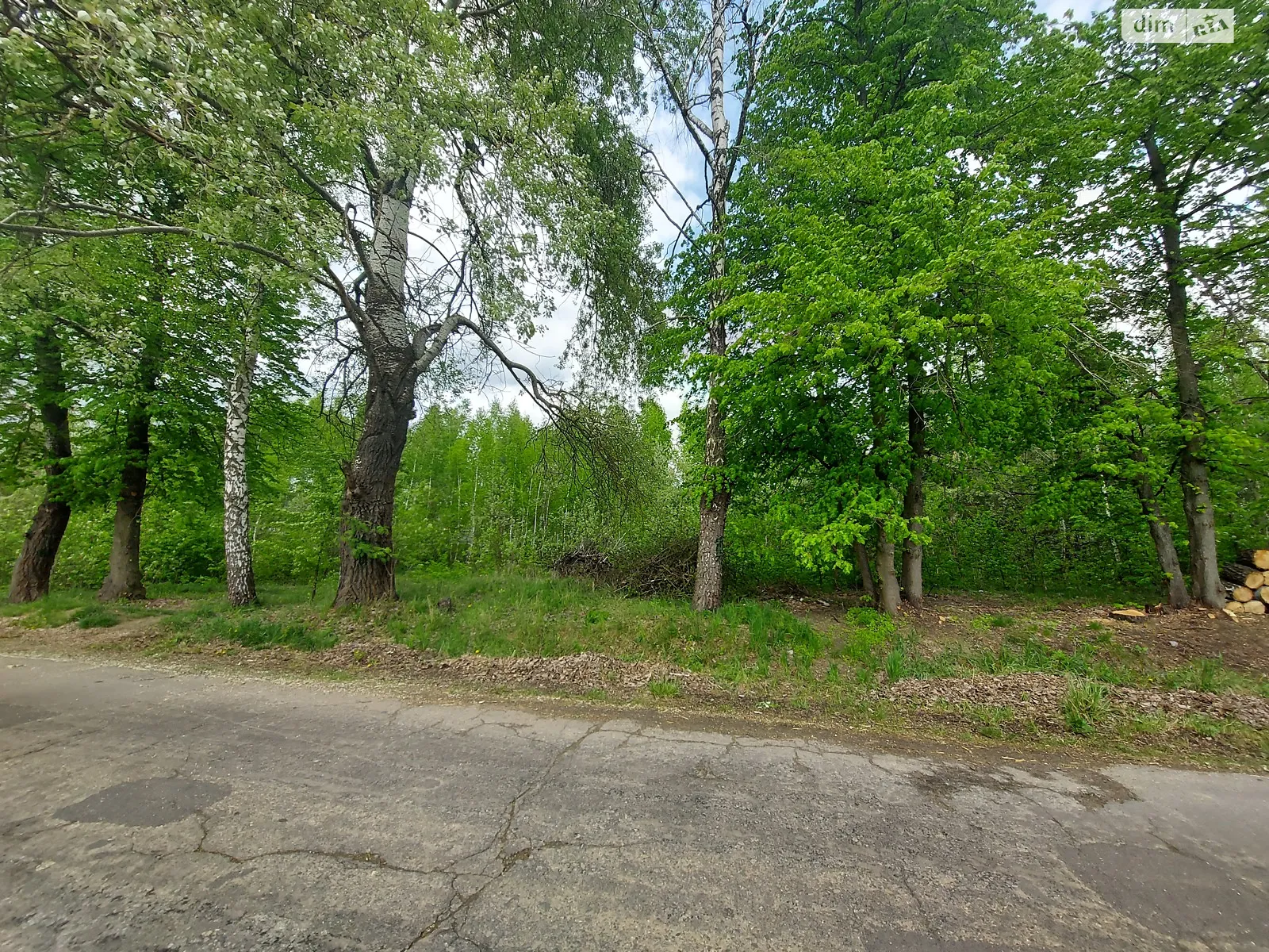 Продается земельный участок 21.5 соток в Винницкой области - фото 4