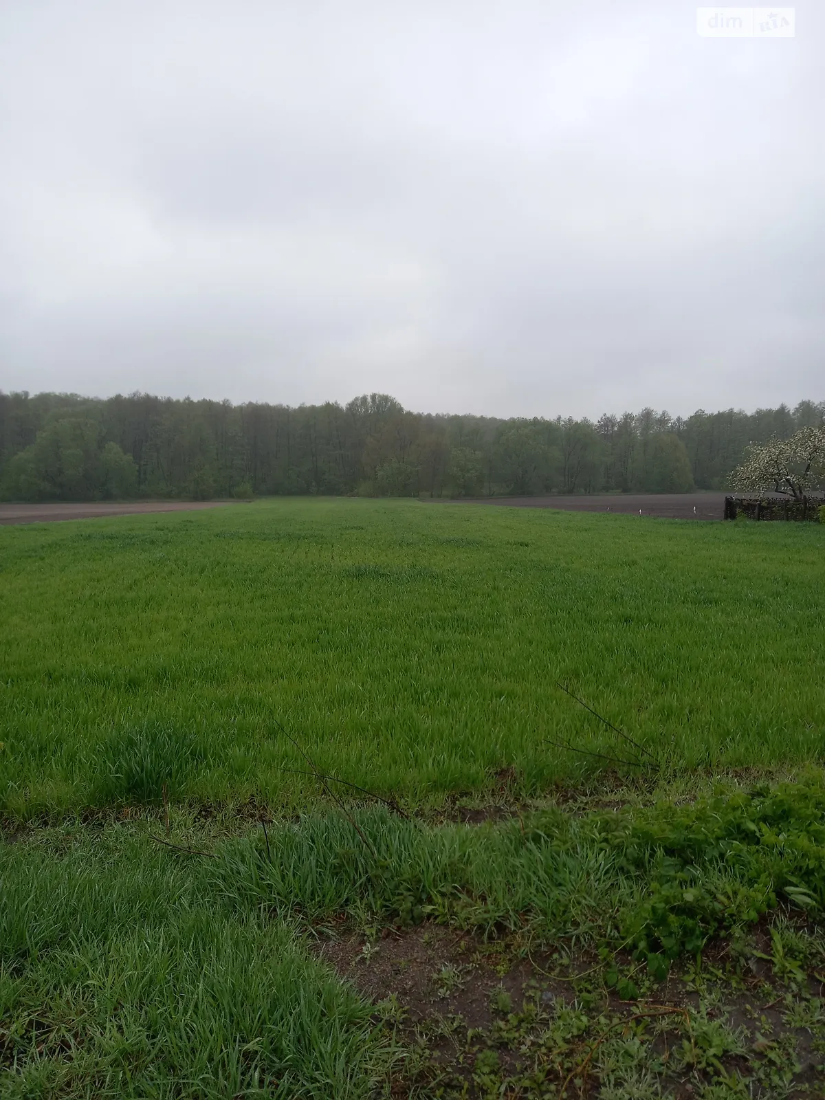 Продается земельный участок 0.43 соток в Киевской области - фото 2