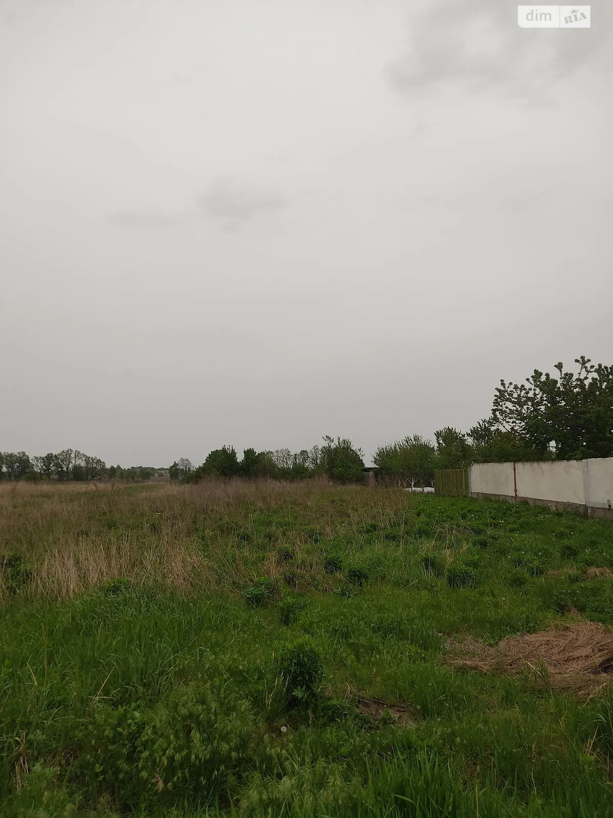 Продается земельный участок 14 соток в Днепропетровской области - фото 4