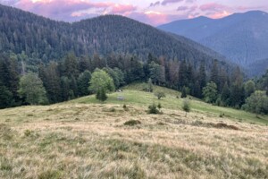 Недвижимость Закарпатской области