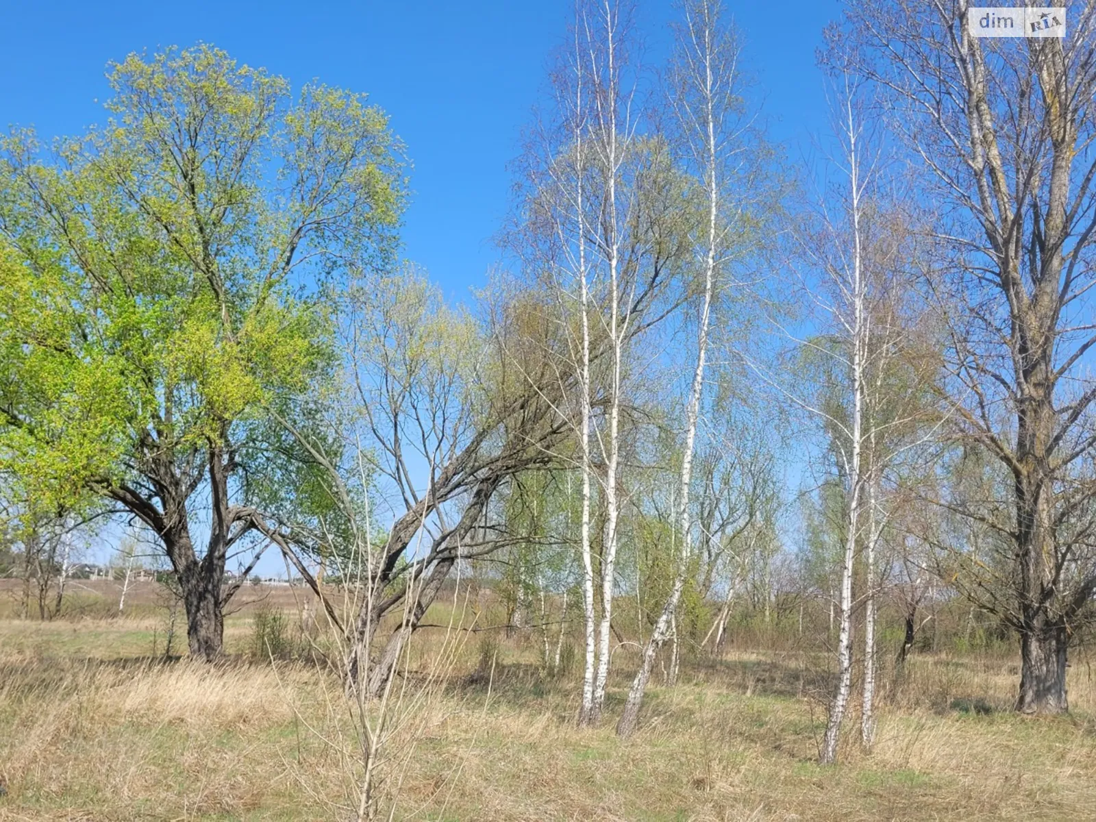 Продається земельна ділянка 10 соток у Київській області, цена: 6000 $