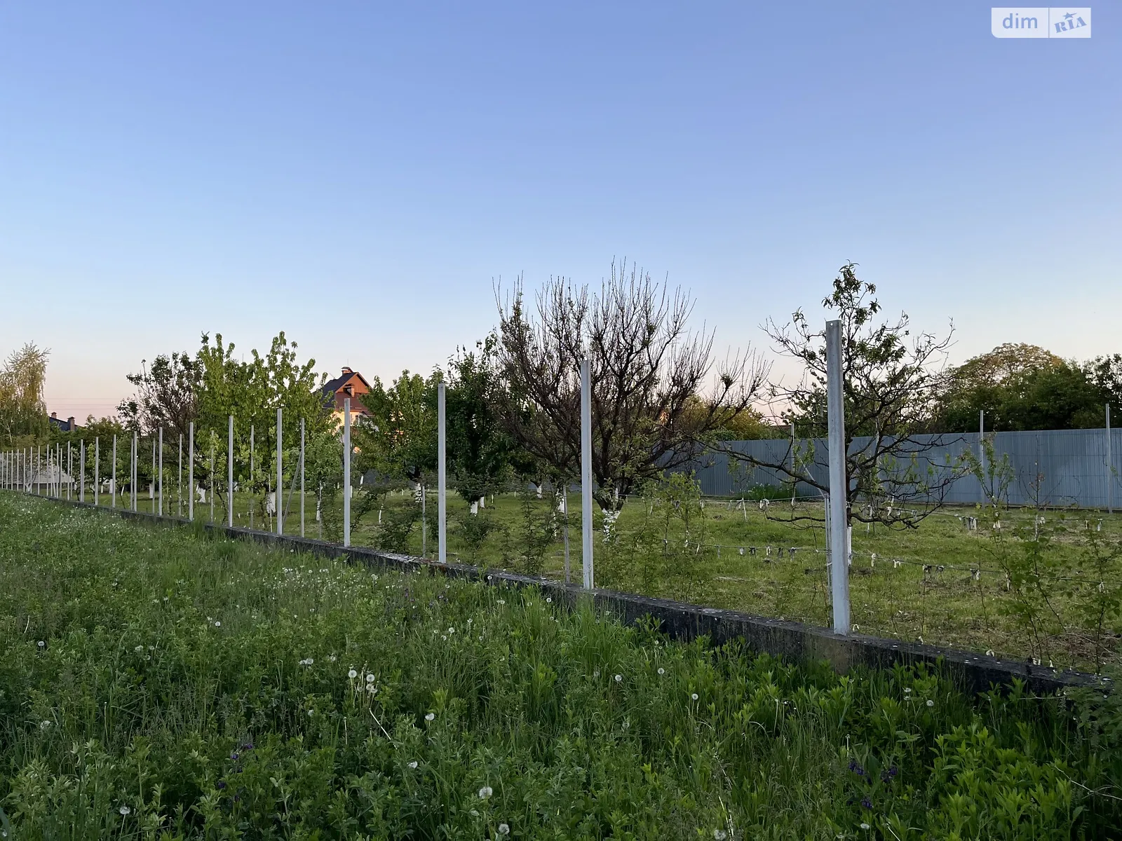 Продается земельный участок 12 соток в Закарпатской области, цена: 61000 $ - фото 1