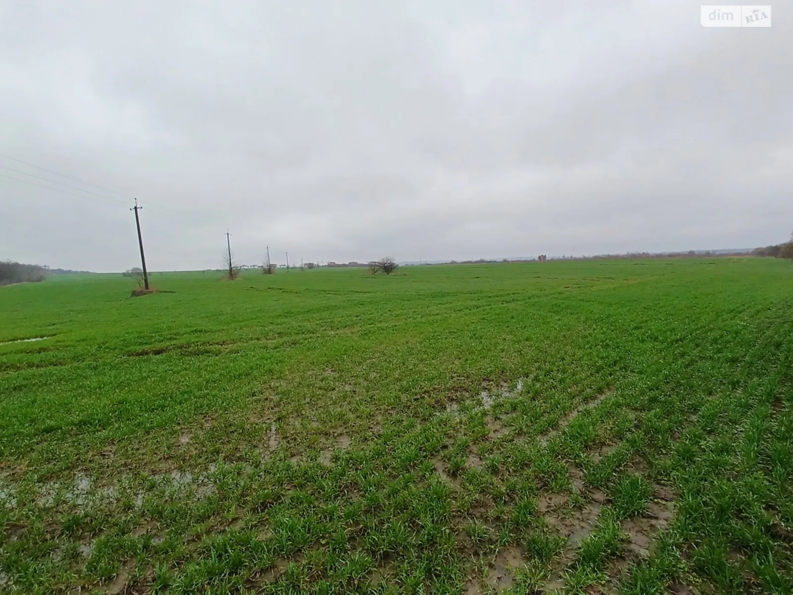 Продается земельный участок 1660 соток в Львовской области, цена: 2400000 $