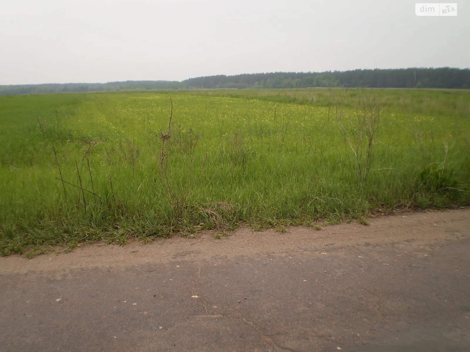 Продается земельный участок 15 соток в Киевской области, цена: 4500 $