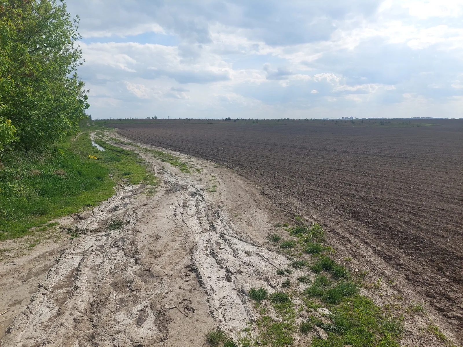 Продается земельный участок 120 соток в Ровенской области - фото 3