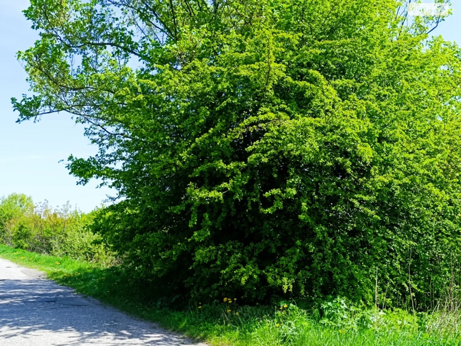 Продається земельна ділянка 2.13 соток у Вінницькій області, цена: 87000 $