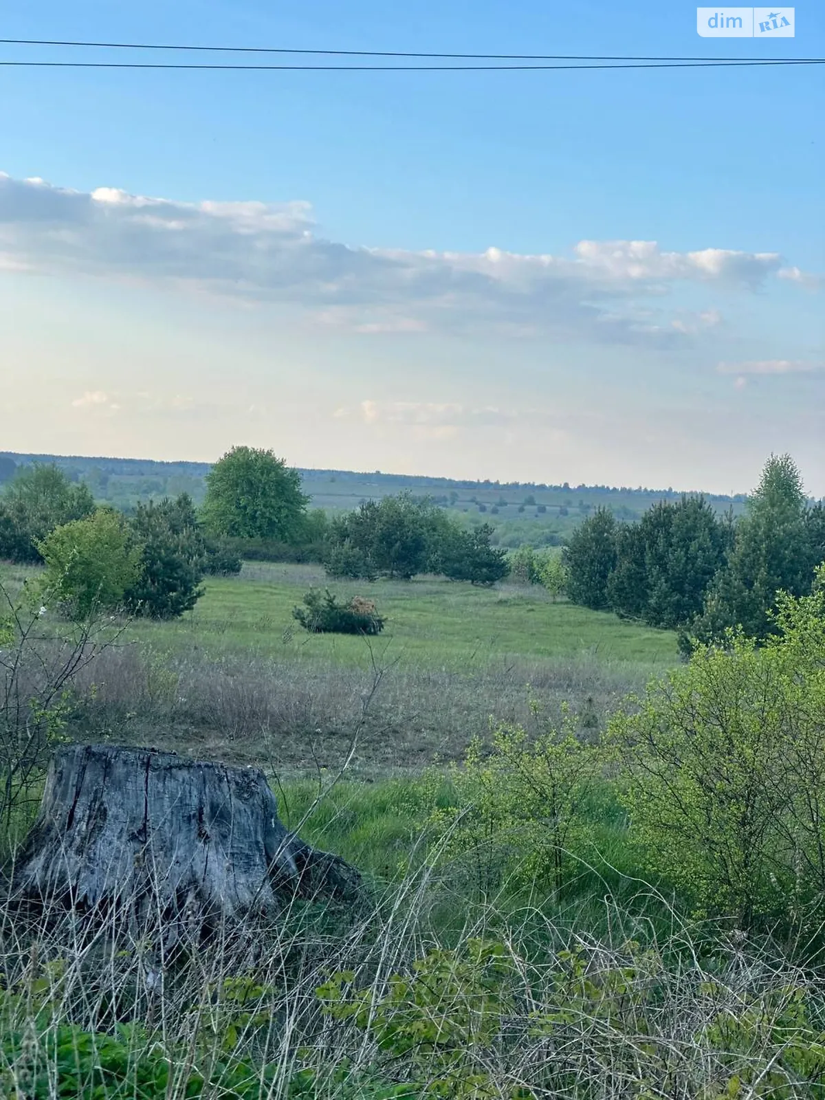 Продается земельный участок 45 соток в Ровенской области - фото 2