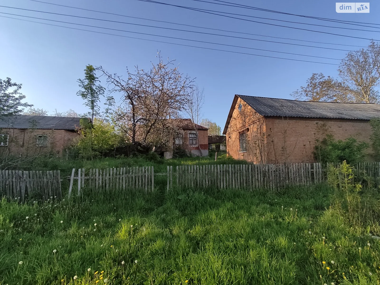 Продается земельный участок 28 соток в Винницкой области, цена: 10000 $ - фото 1