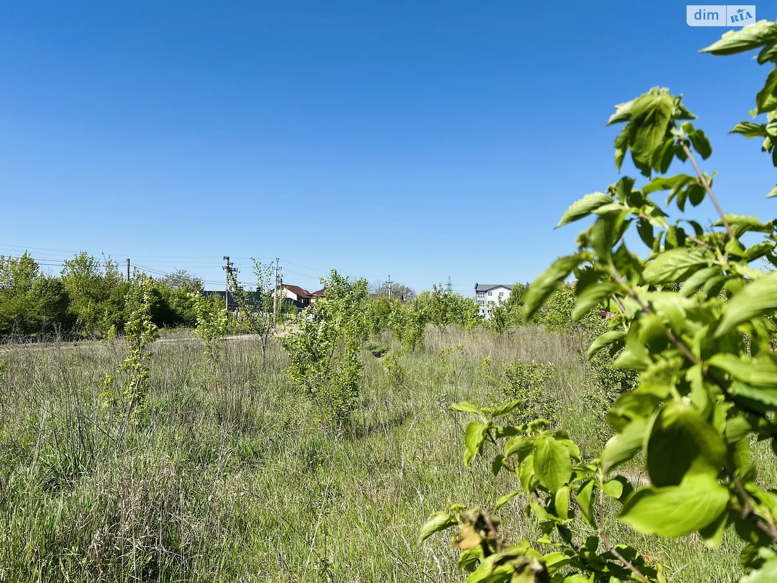 Продается земельный участок 70 соток в Винницкой области - фото 3