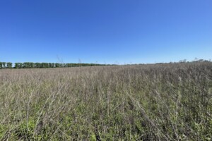 Продаж ділянки під житлову забудову, Вінницька, Медвеже Вушко