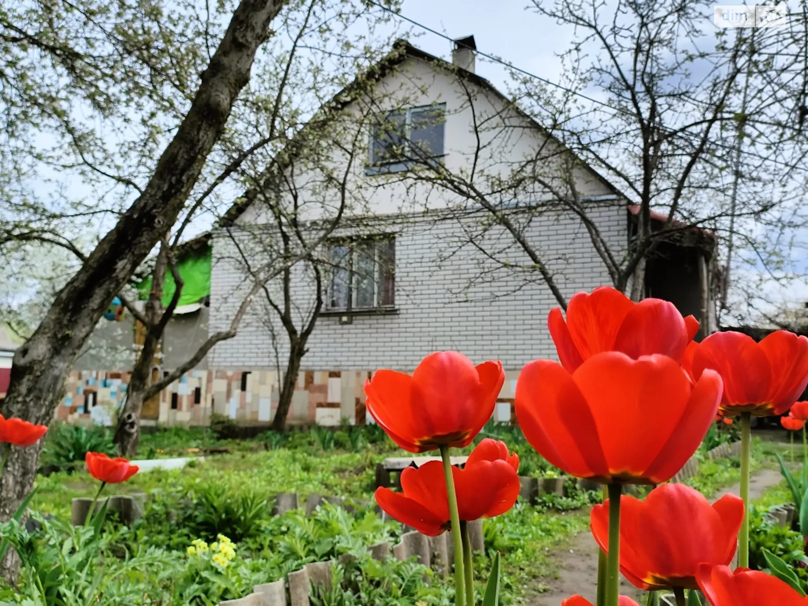 Продається одноповерховий будинок 40.5 кв. м з банею/сауною, цена: 15000 $