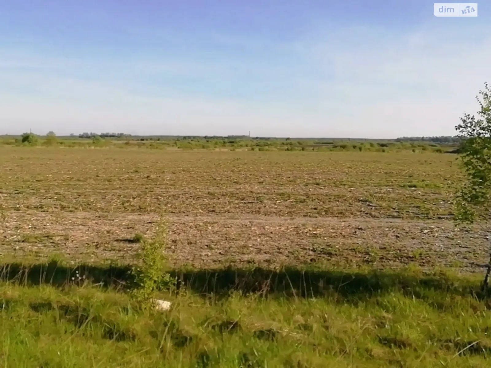 Продается земельный участок 227 соток в Волынской области - фото 2