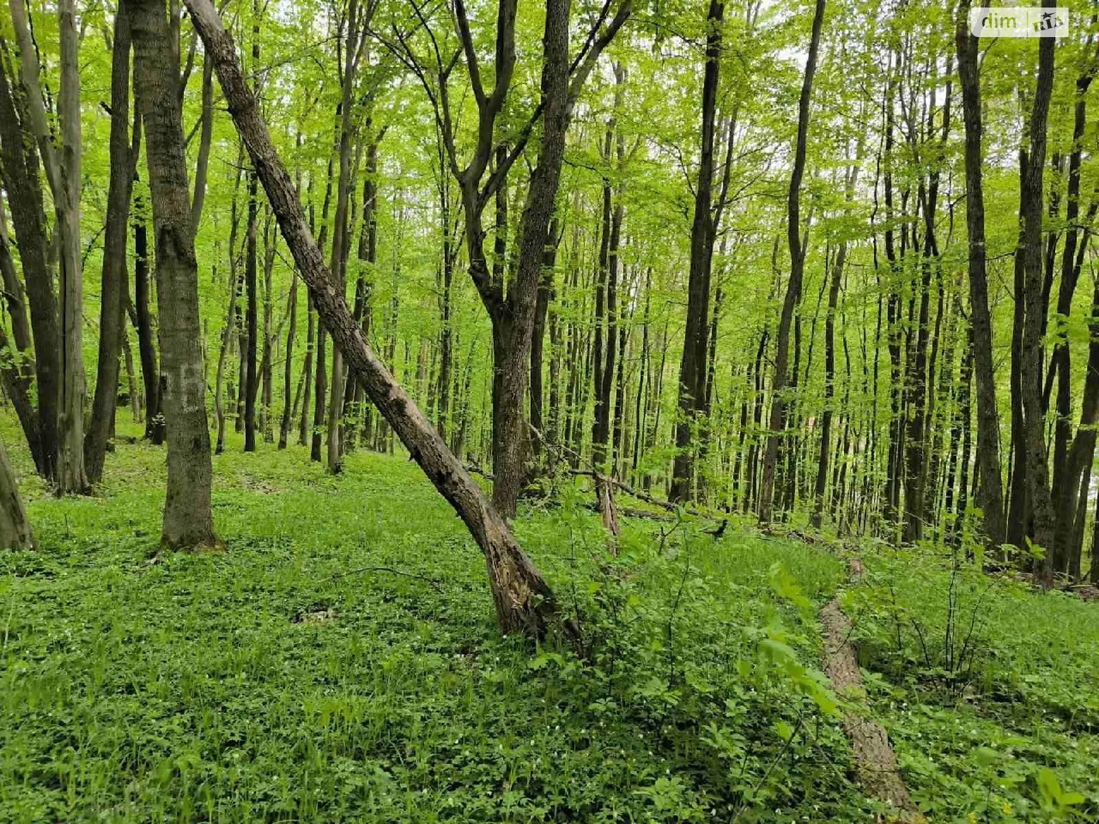 Продається земельна ділянка 7 соток у Львівській області, цена: 35000 $ - фото 1