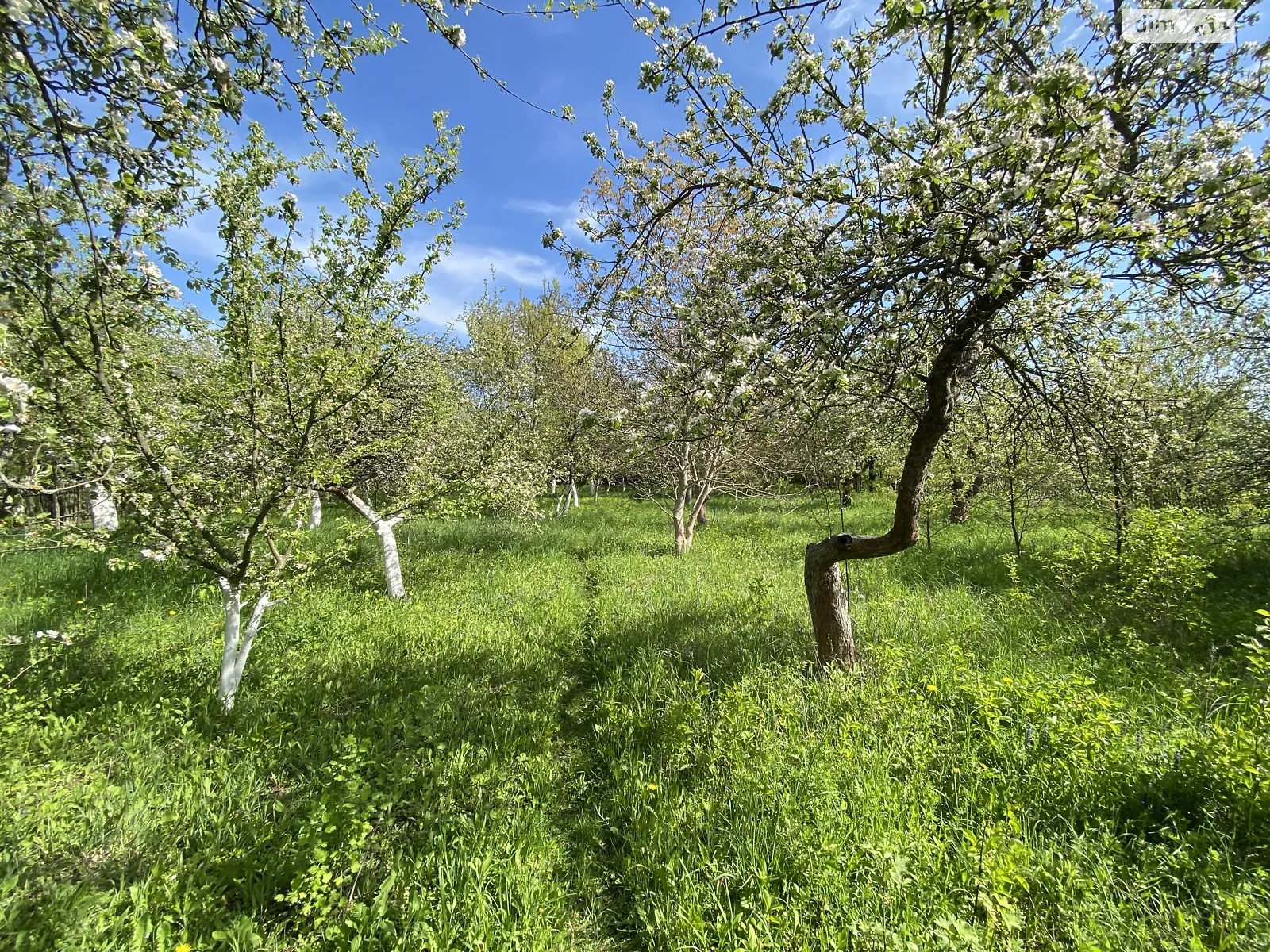 ул. Подлесная Якушинцы, цена: 30000 $ - фото 1