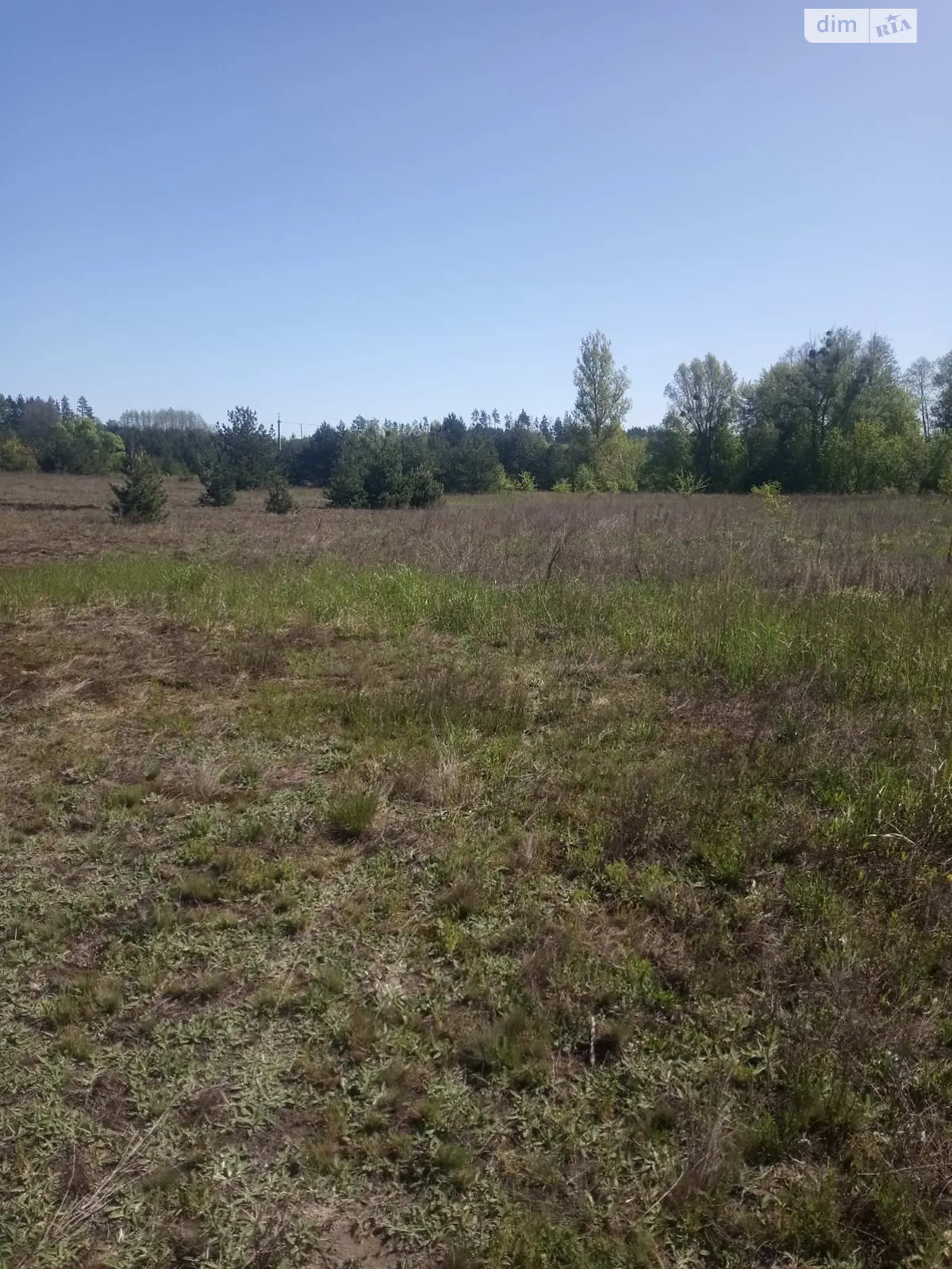 Продается земельный участок 22 соток в Житомирской области - фото 3