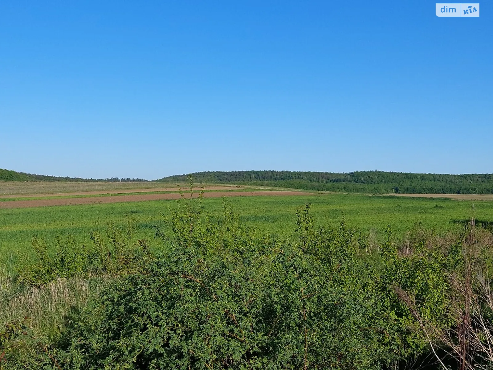 Продается земельный участок 2 соток в Ровенской области - фото 2