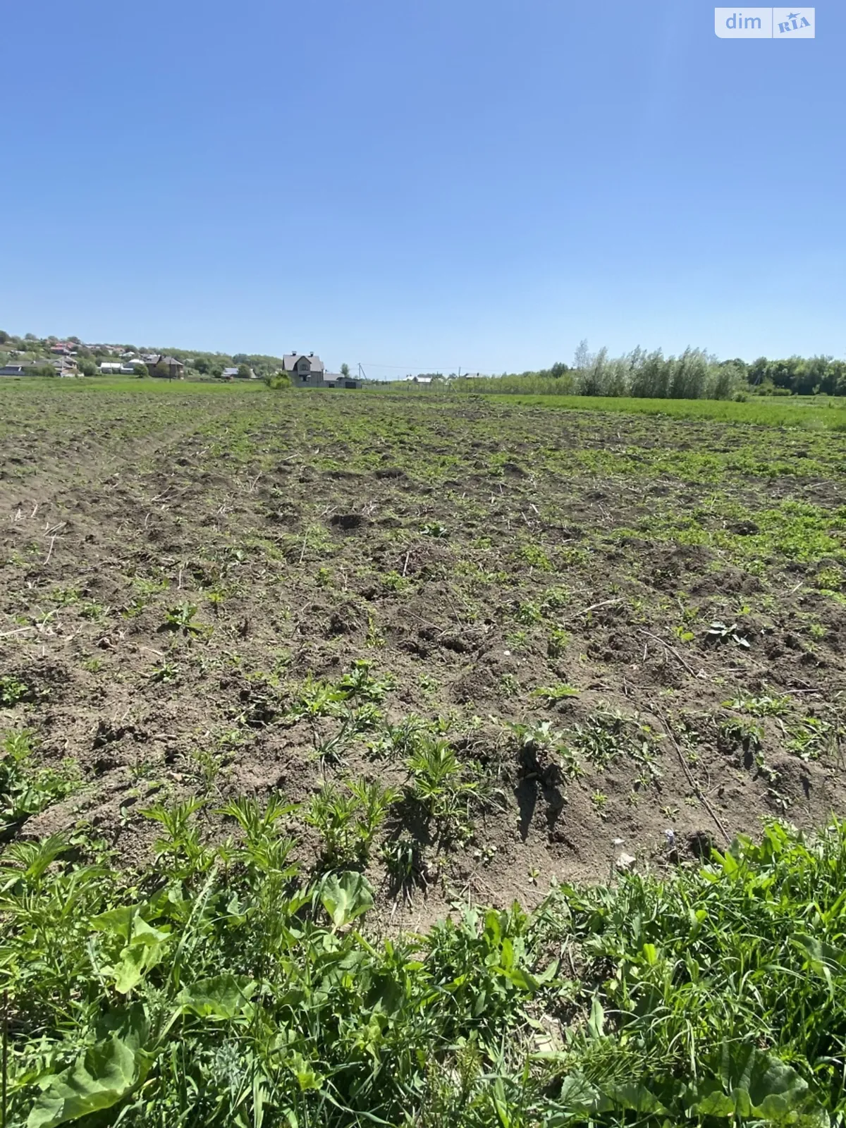 Продается земельный участок 20 соток в Черновицкой области - фото 3