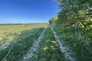 Земельные участки в Ямполе без посредников