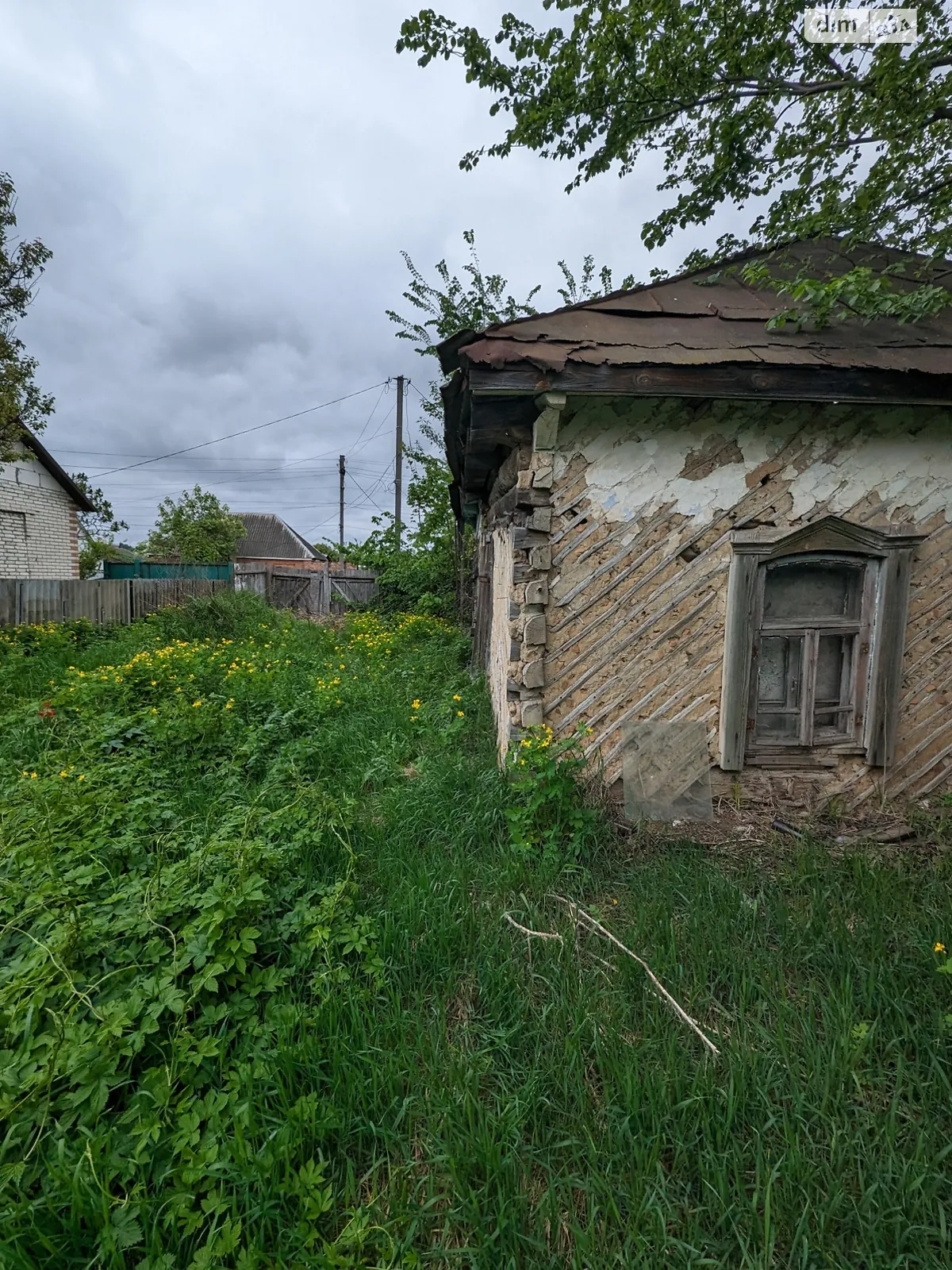 Продается земельный участок 6 соток в Сумской области - фото 2