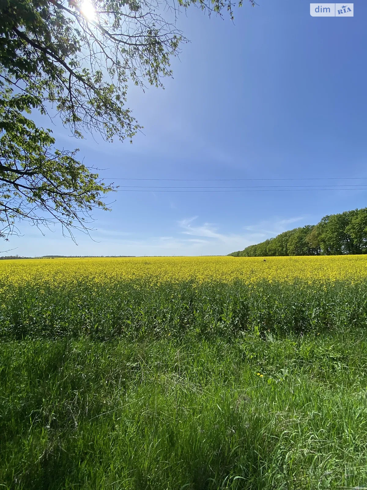 Продається земельна ділянка 28 соток у Вінницькій області, цена: 155000 $