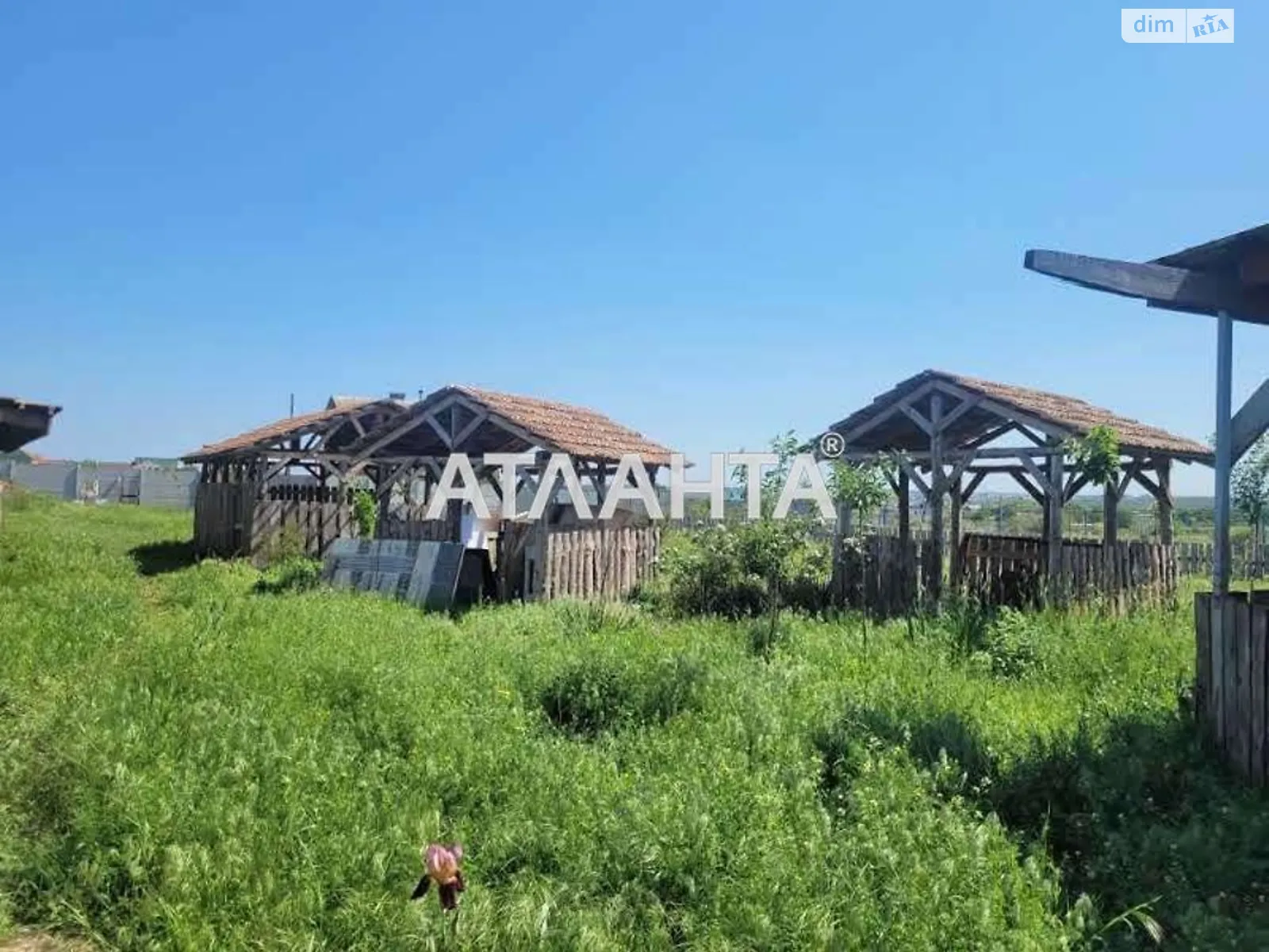 Продається земельна ділянка 50 соток у Одеській області - фото 2