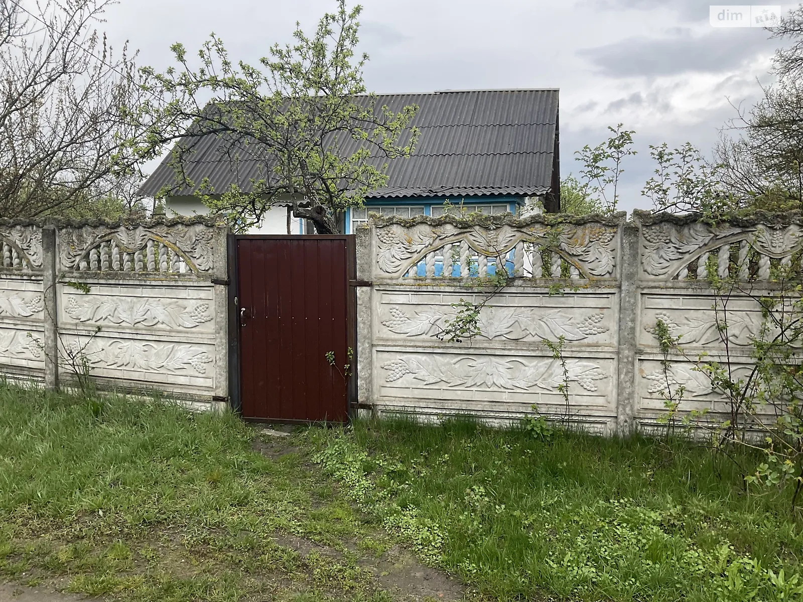 Продается земельный участок 48 соток в Черниговской области, цена: 4800 $