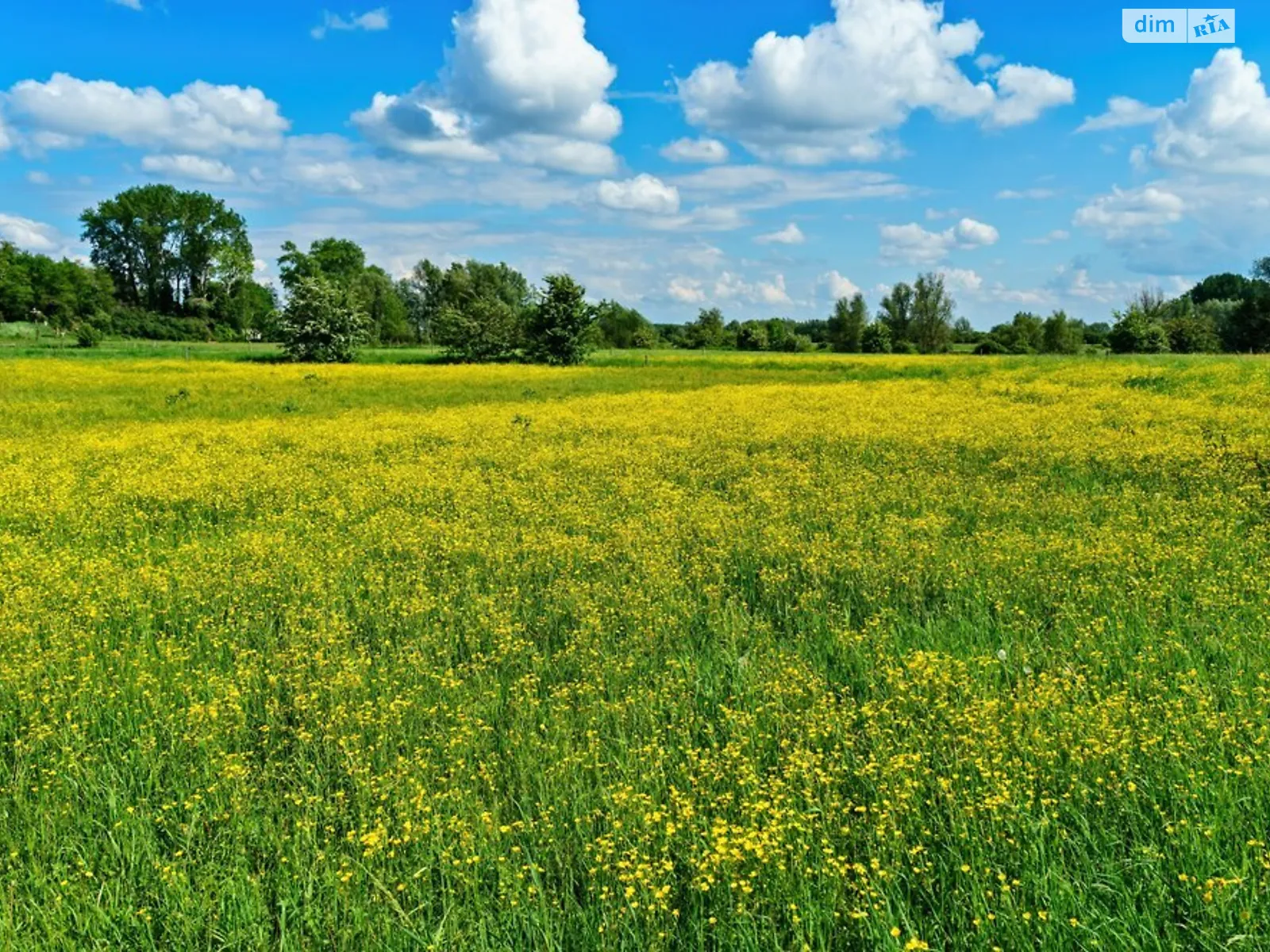 Продається земельна ділянка 24.7 соток у Харківській області, цена: 18000 $ - фото 1