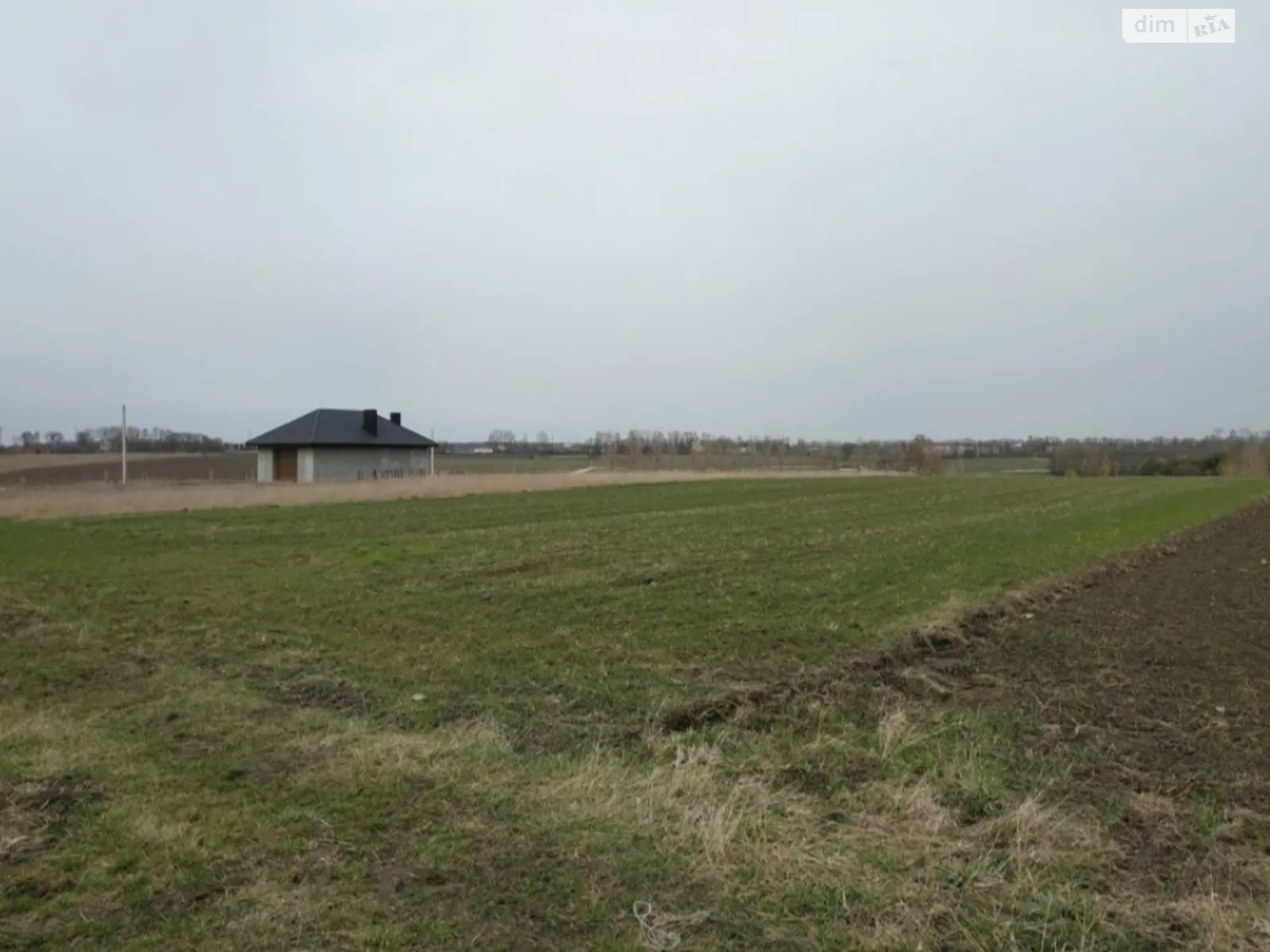 Продается земельный участок 19 соток в Тернопольской области, цена: 7400 $