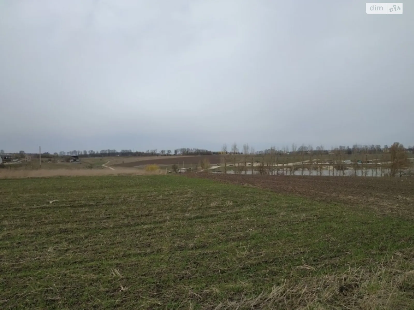 Продается земельный участок 19 соток в Тернопольской области - фото 2