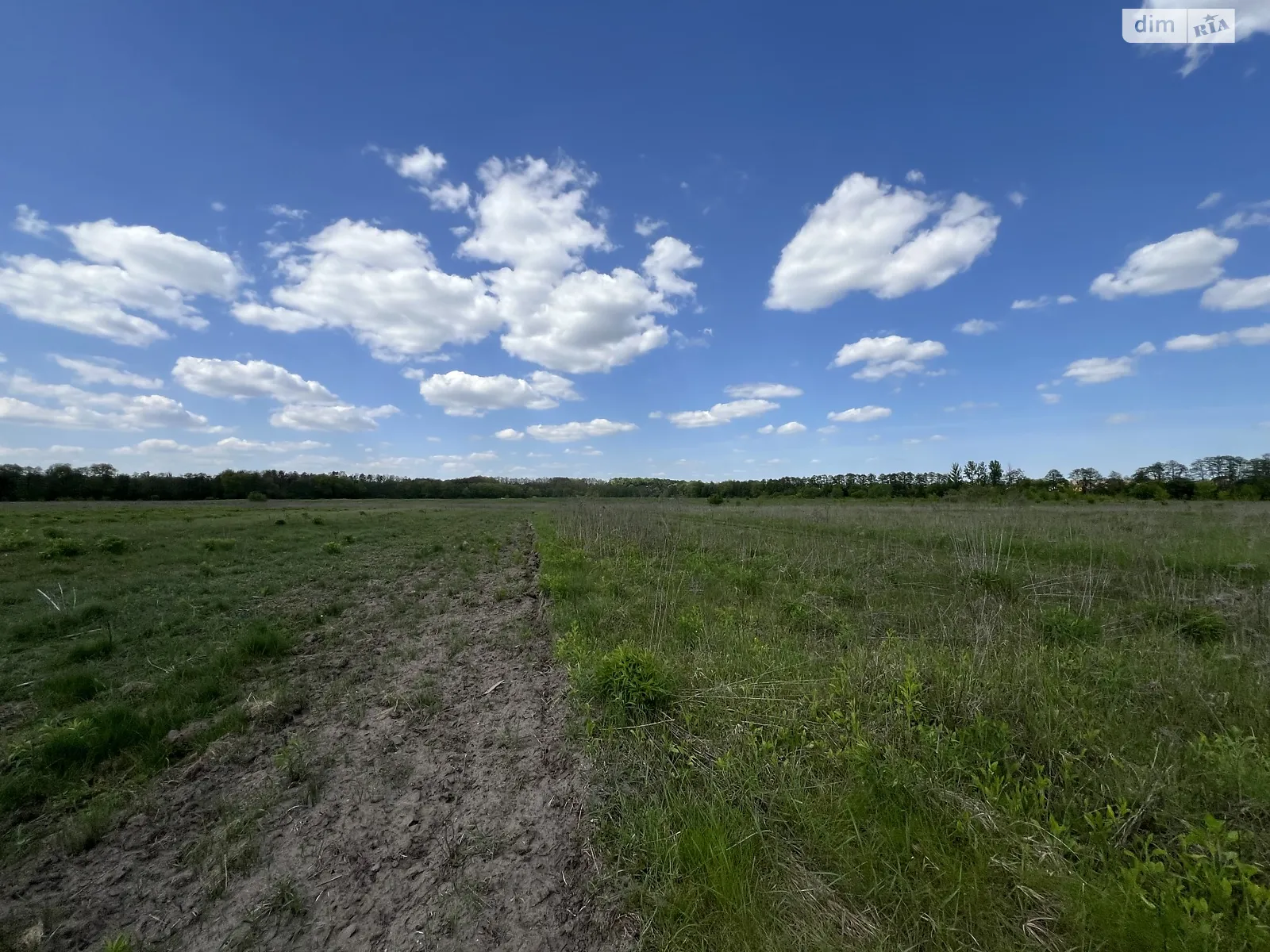 Продается земельный участок 15 соток в Винницкой области, цена: 4000 $ - фото 1