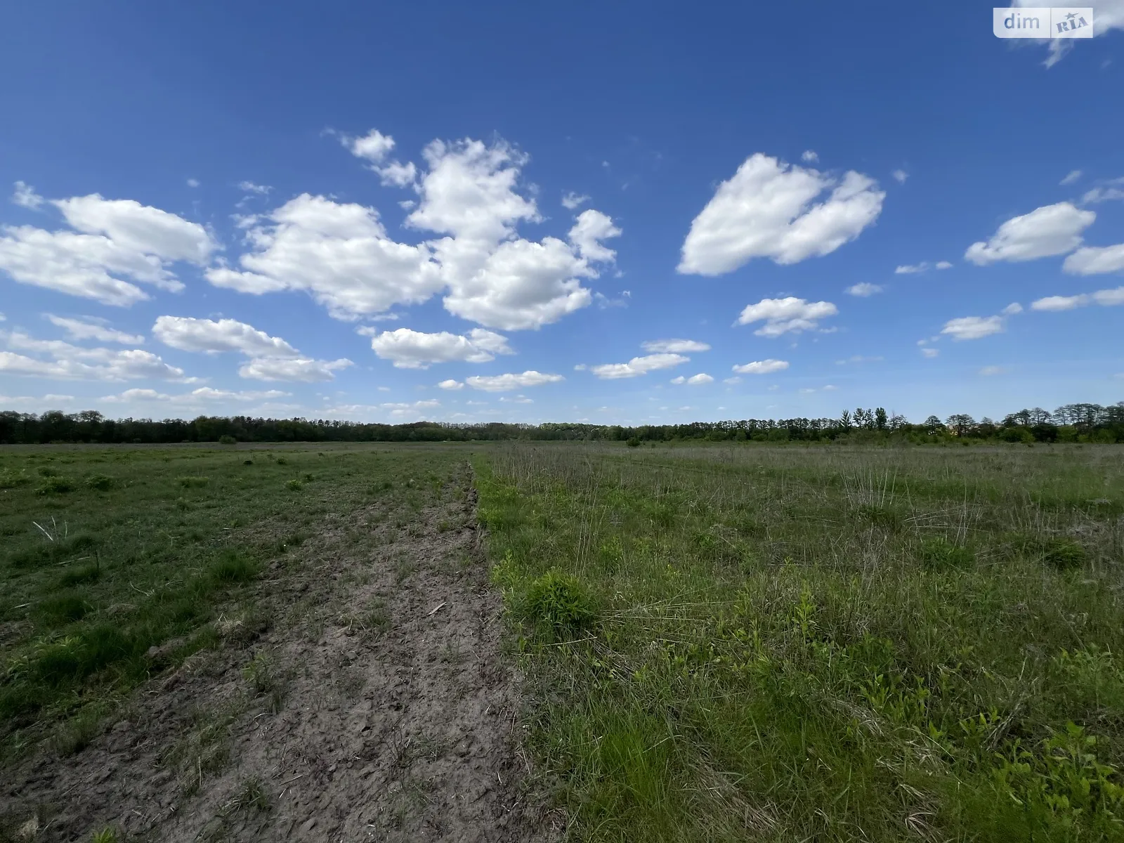 Селище (Тывров), цена: 4000 $ - фото 1