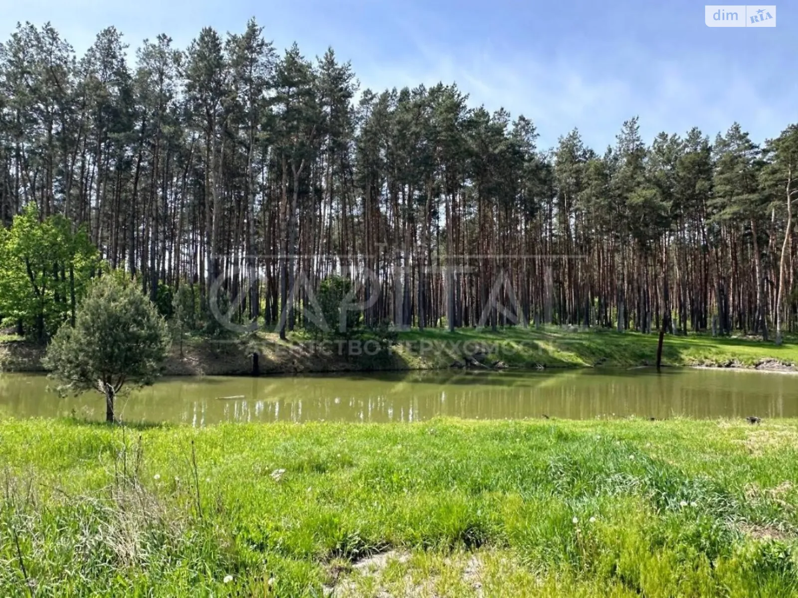 Продается земельный участок 25 соток в Киевской области, цена: 65000 $