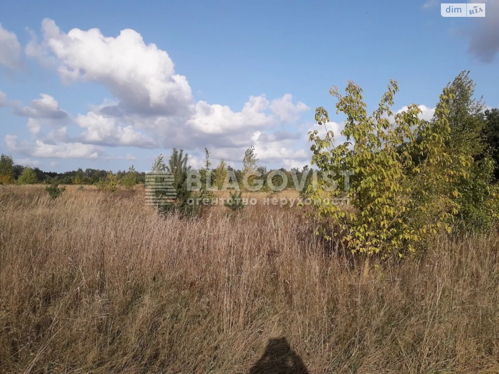 Продается земельный участок 1.3066 соток в Киевской области - фото 3