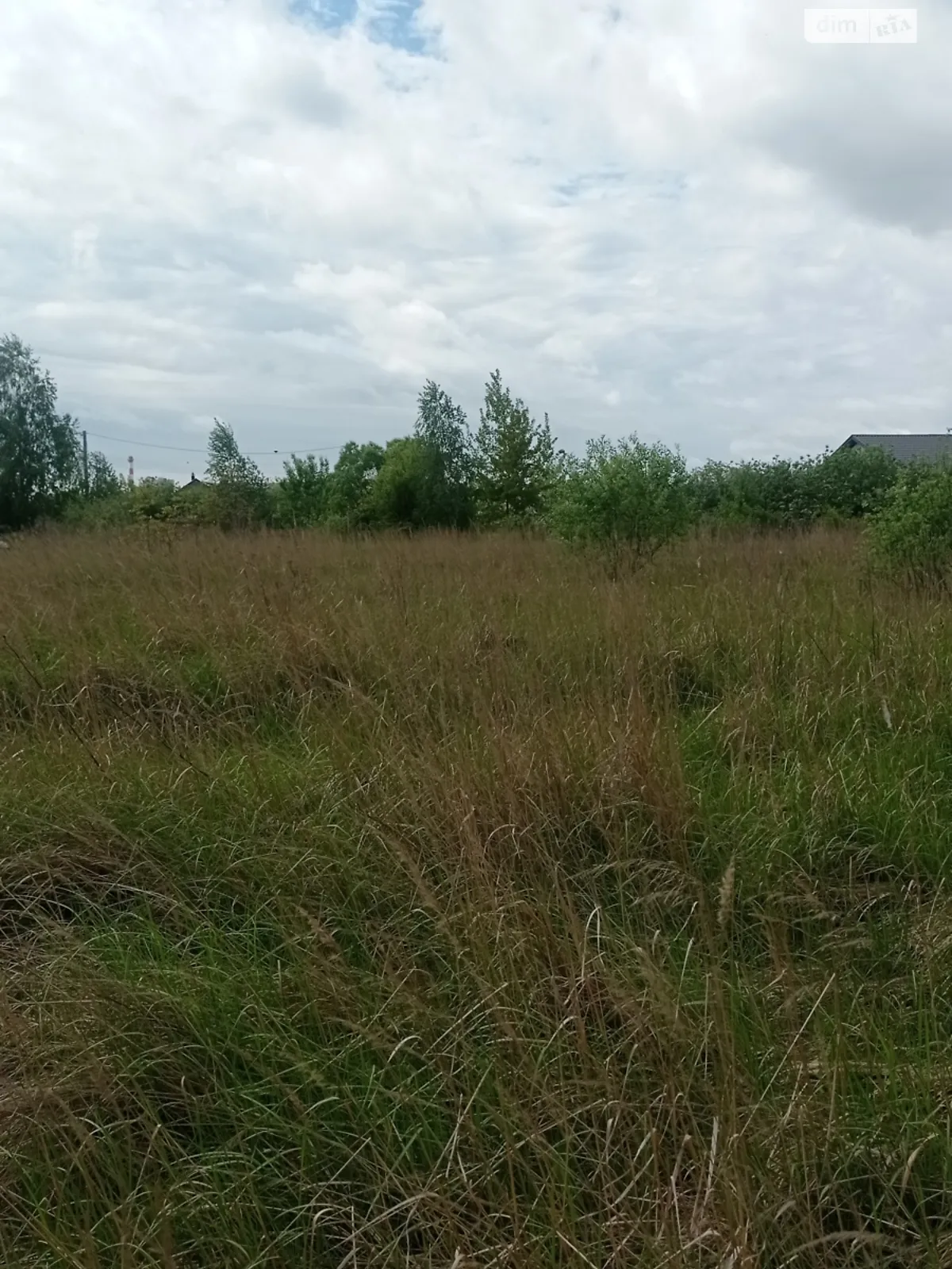 Продается земельный участок 8 соток в Житомирской области - фото 2