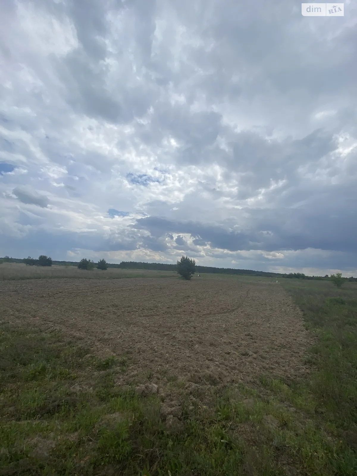 Продается земельный участок 12 соток в Ровенской области - фото 3